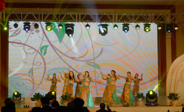 迪多展示—春節(jié)聯(lián)歡晚會 迪多展示—春節(jié)聯(lián)歡晚會