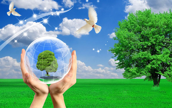 實踐轉型升級—實現綠色發展 實踐轉型升級—實現綠色發展