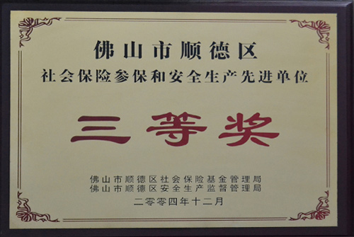 迪多-社會保險參保和安全生產先進單位