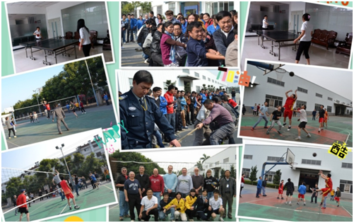 體育比賽 體育比賽